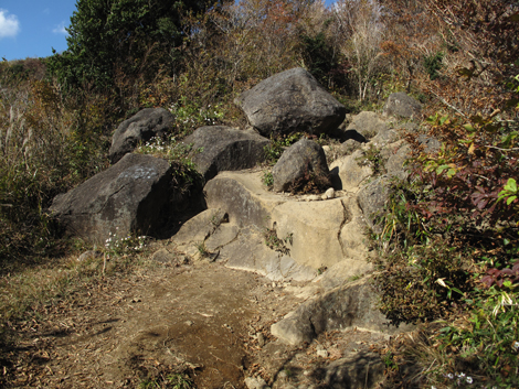 20181102hike (152)